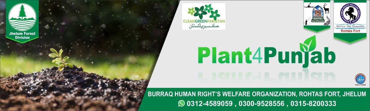 Green Future